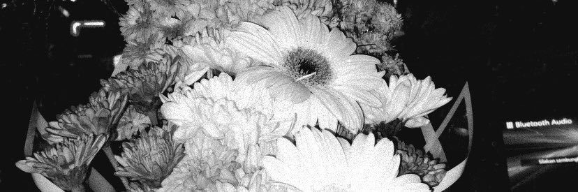 Putriblq's profile banner image
