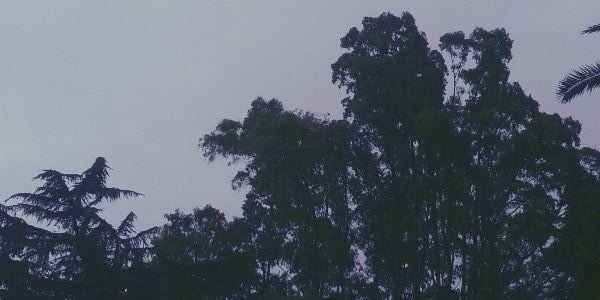ruloSCH's profile banner image
