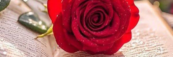 رمــــــــــآديـــــه banner