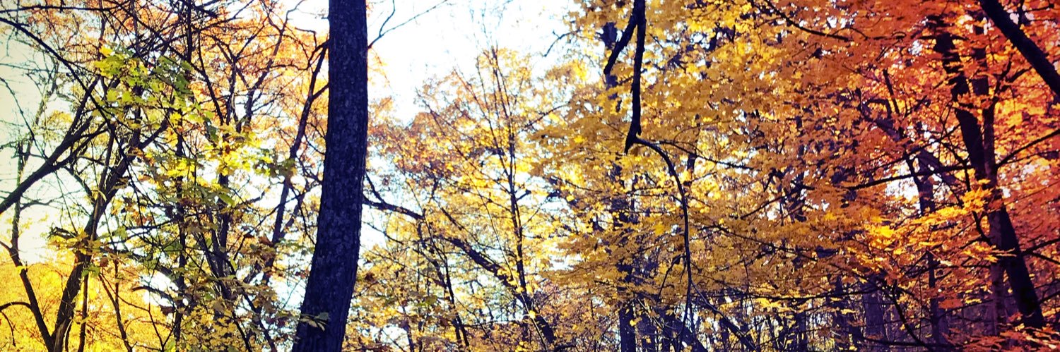 Kathy Grayson banner