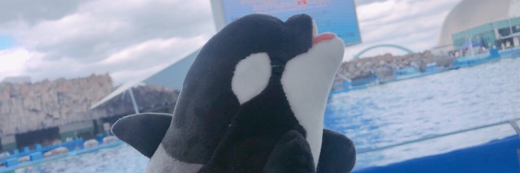 akh0502's profile banner image