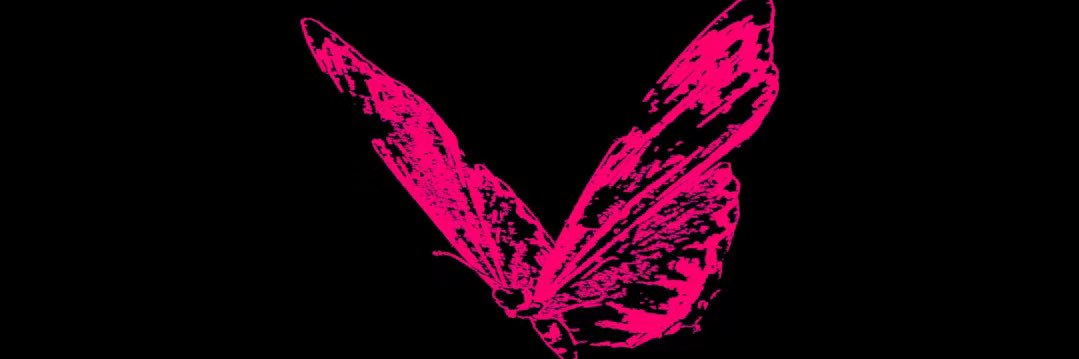 冬冬医生🖤 banner