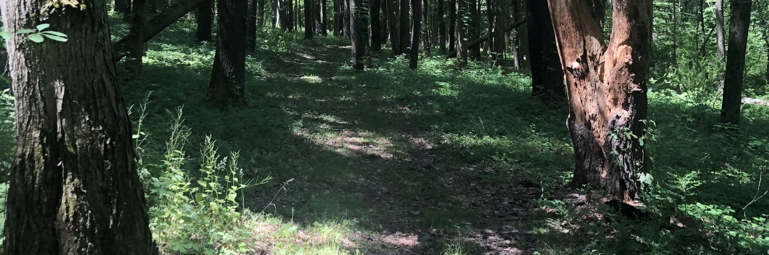 REMindie's profile banner image