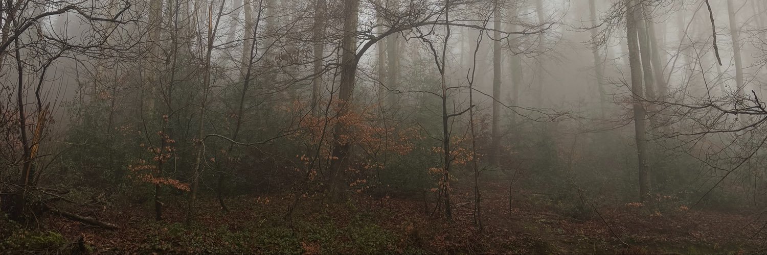 benbbaked's profile banner image