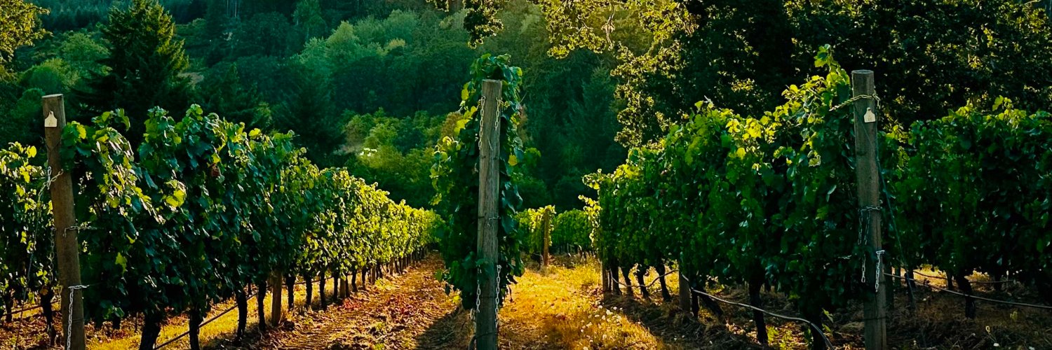 Lonesome Rock Estate Wines banner