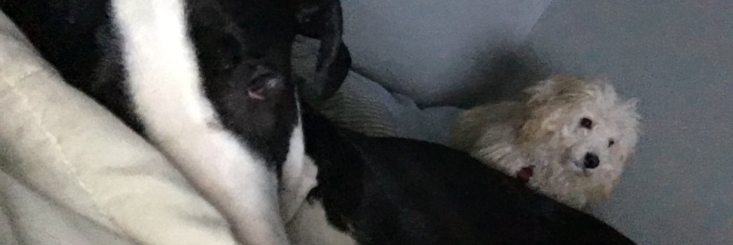 Anthonyv317's profile banner image