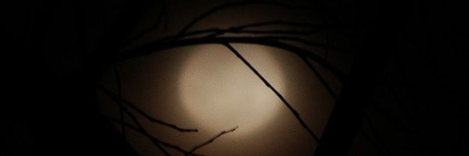 Carmeloco's profile banner image