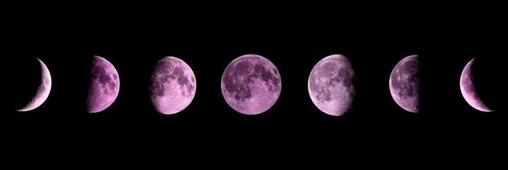 𝐖𝐀𝐗𝐈𝐍𝐆 𝐏𝐇𝐀𝐒𝐄 ީ ⊹₊⁺ banner