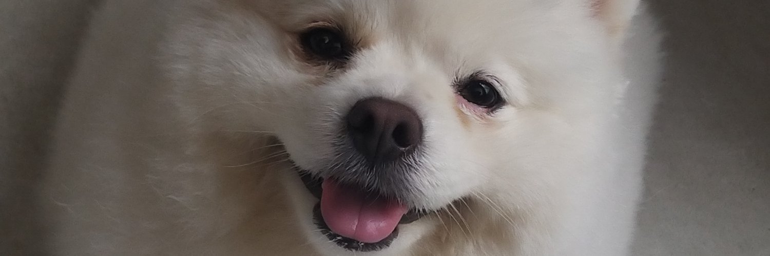 TICA banner