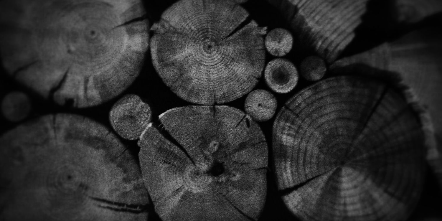 ShutterSteez's profile banner image