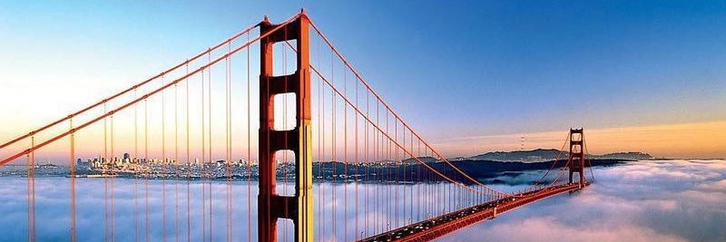 Markus Michalewicz banner