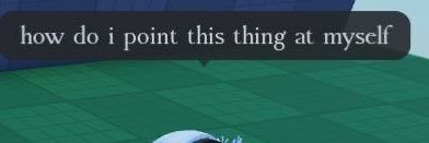 Chicken's banner