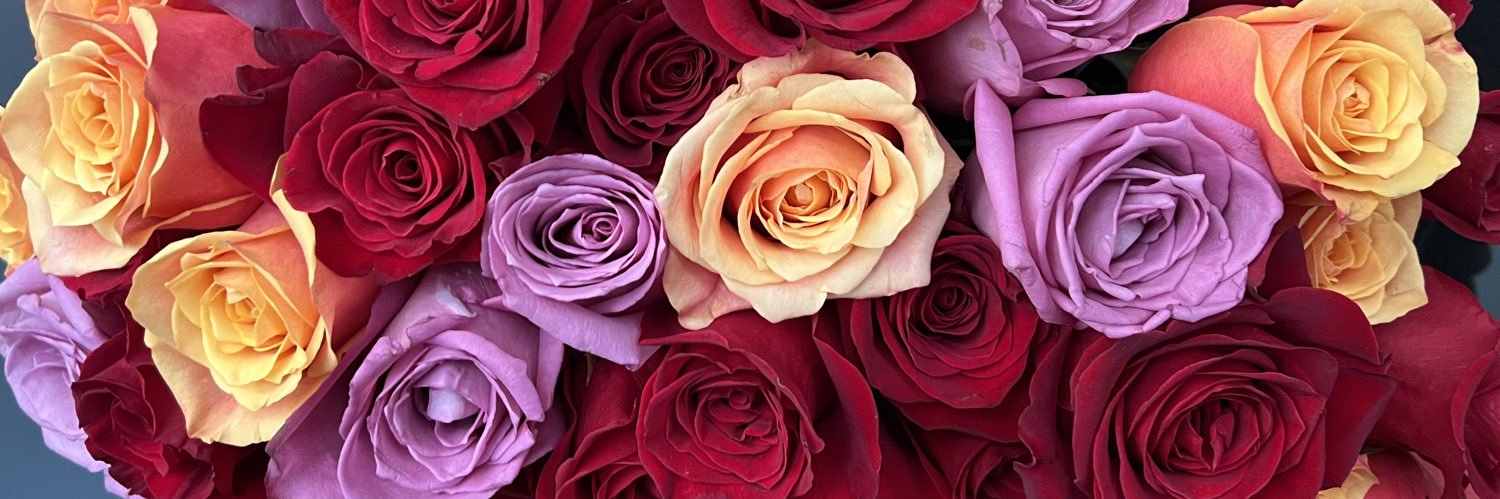 LePrintempsDC's profile banner image