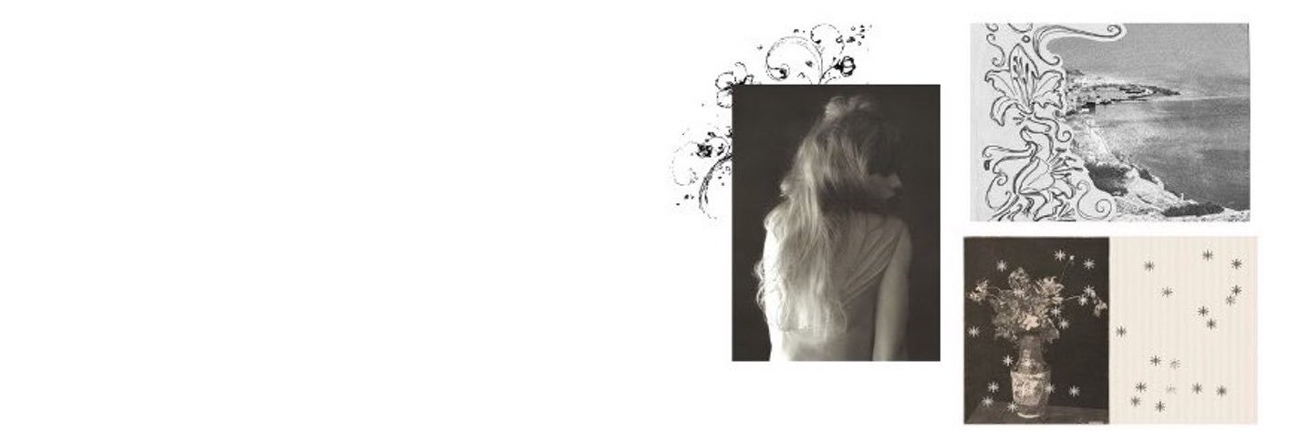 givemywild's profile banner image