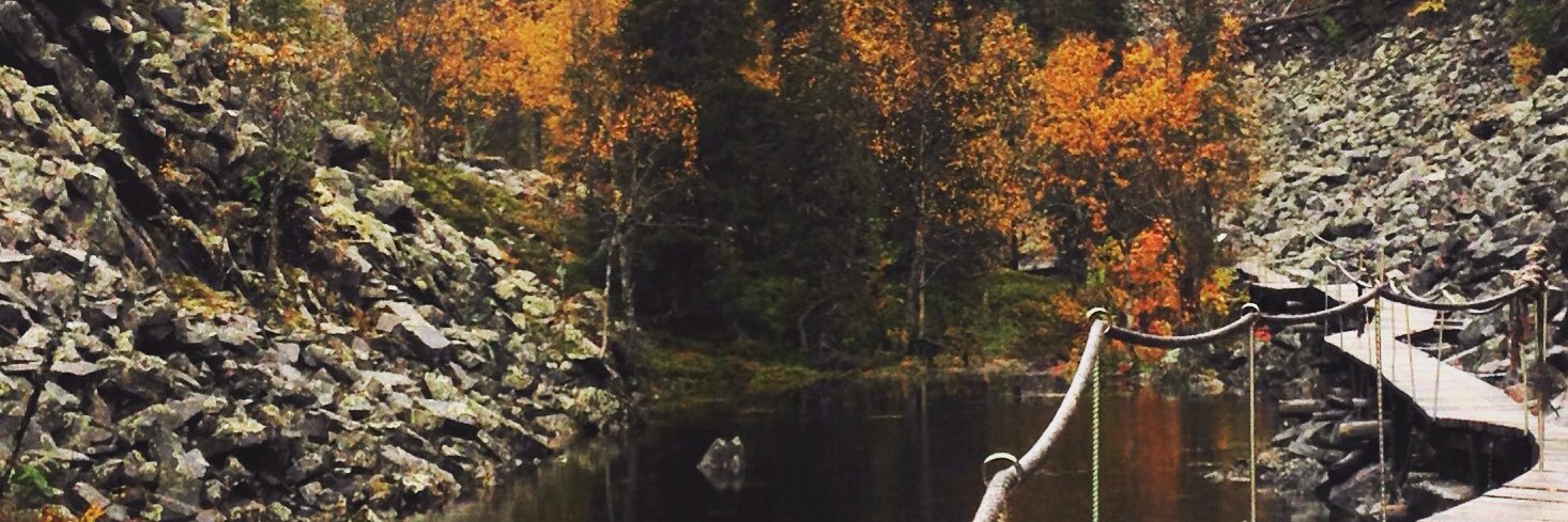 salliskoi's profile banner image