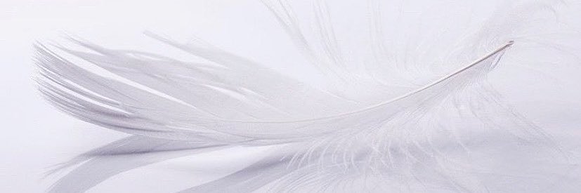 SoPethra's profile banner image