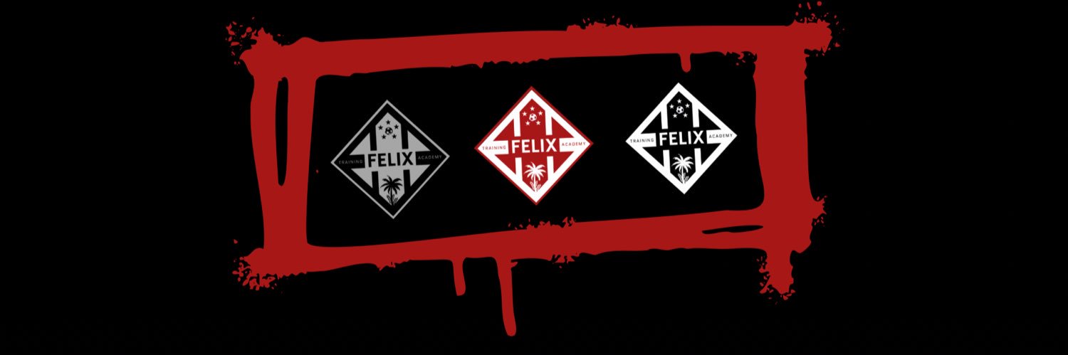 Felix Training Academy banner