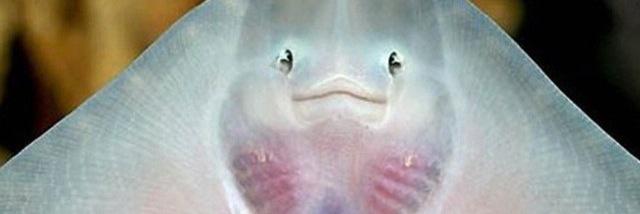 Alice_Jacq's profile banner image
