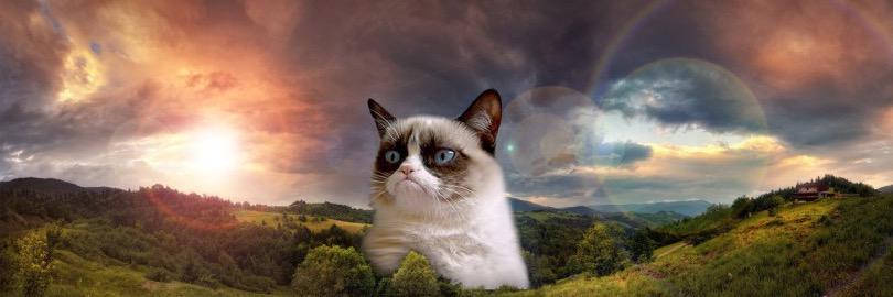 ZachChristmas's profile banner image