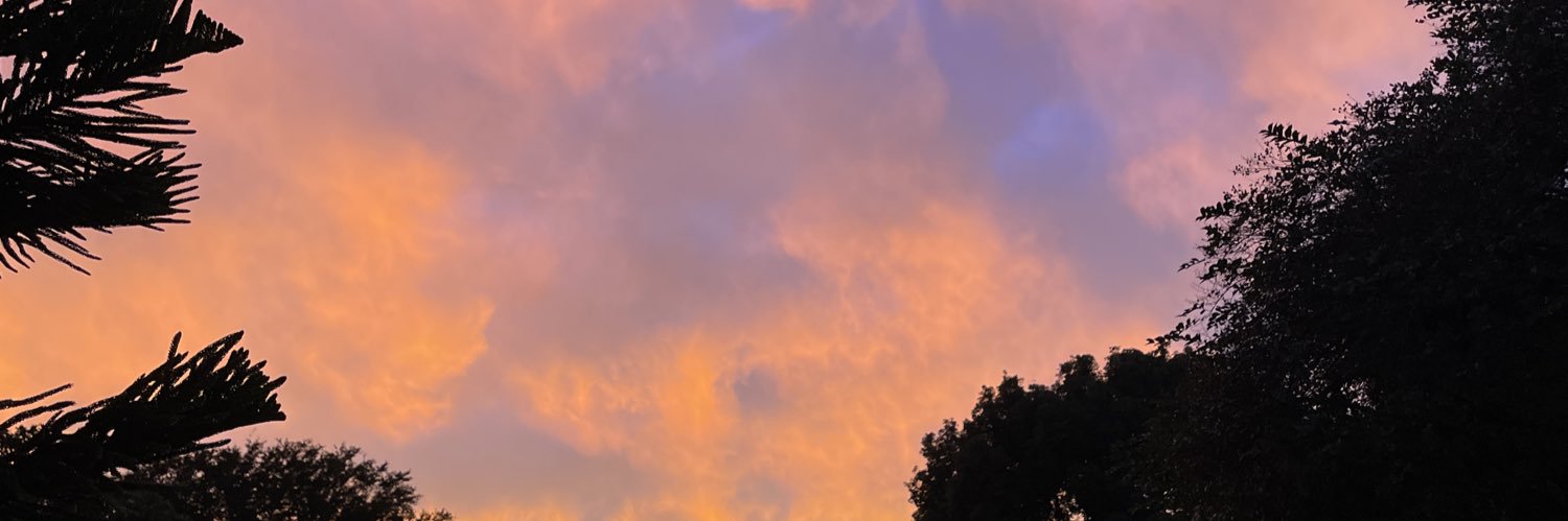 Knuklez_Moon🎒 banner