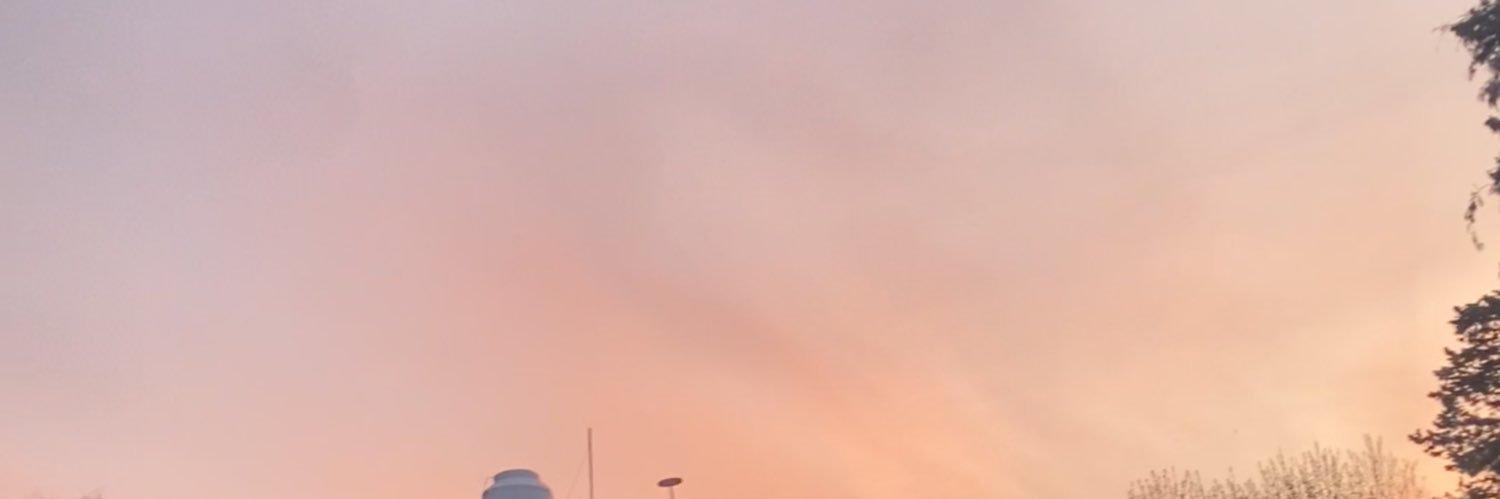Tomi Spinelli banner