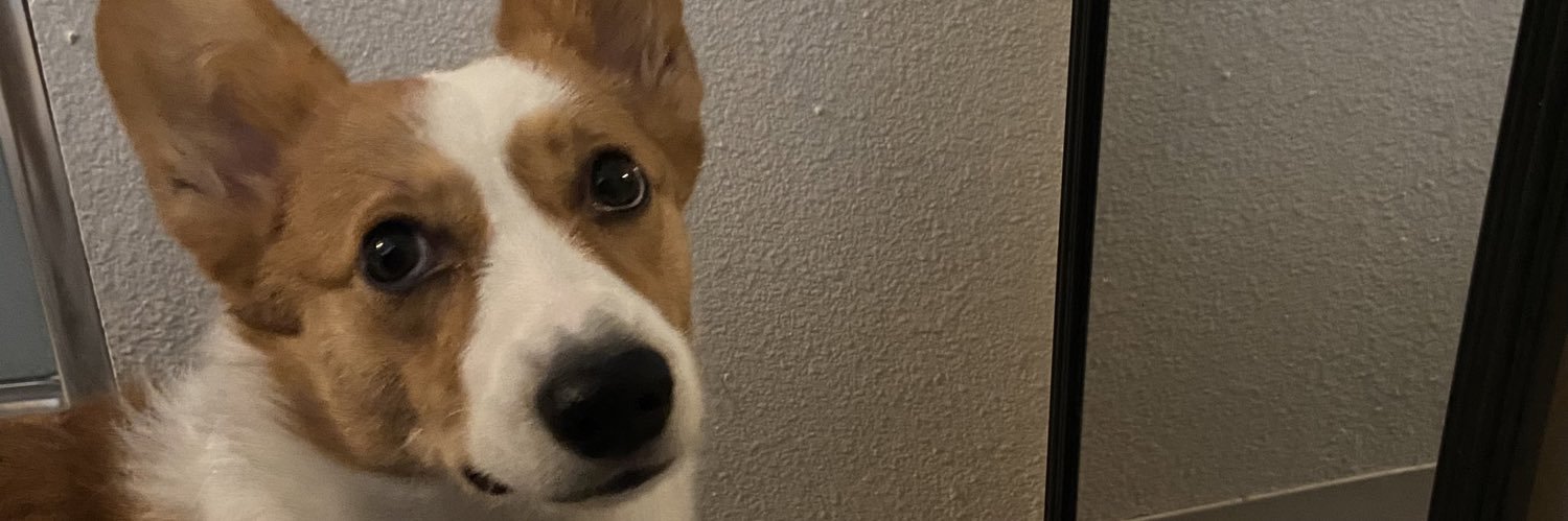 LPutzlocker's profile banner image