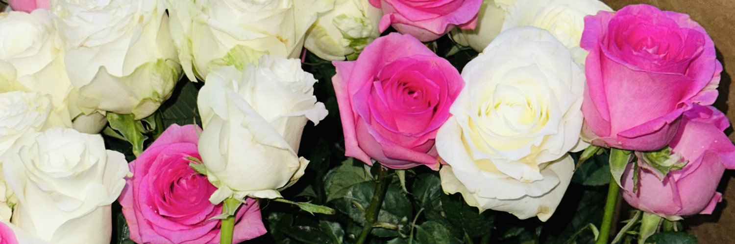 hh9694368's profile banner image