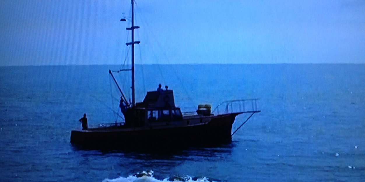 SeagirlX's profile banner image