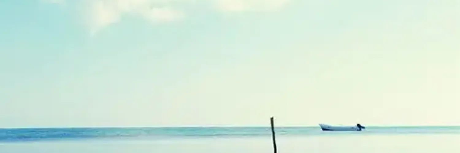 CollierHar3623's profile banner image