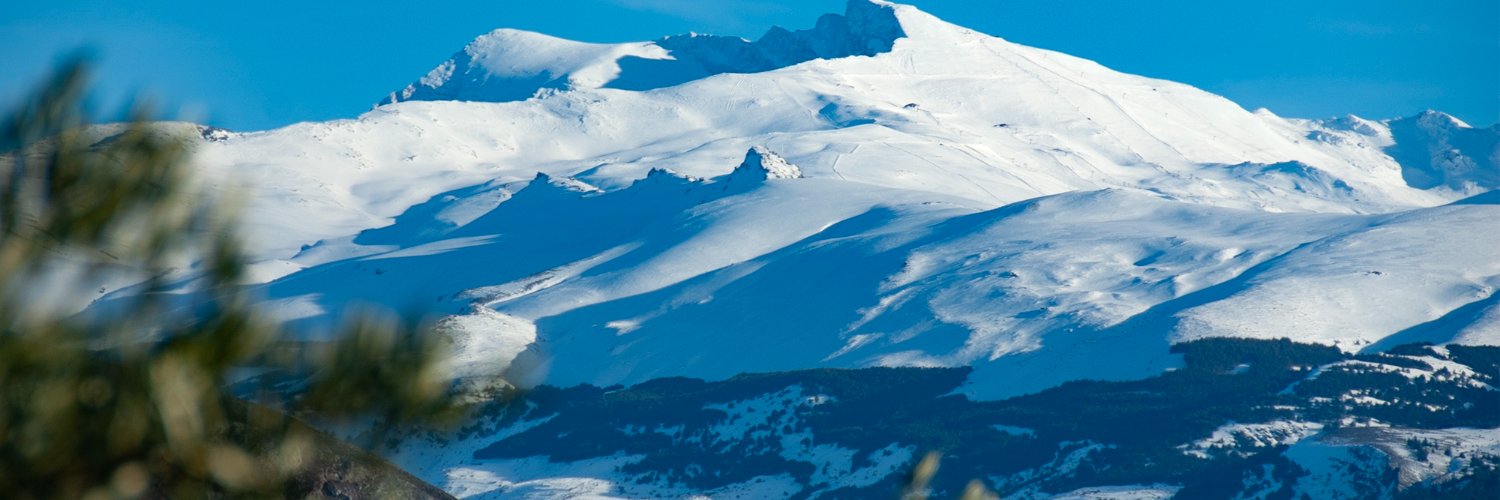 MadonnOa's profile banner image