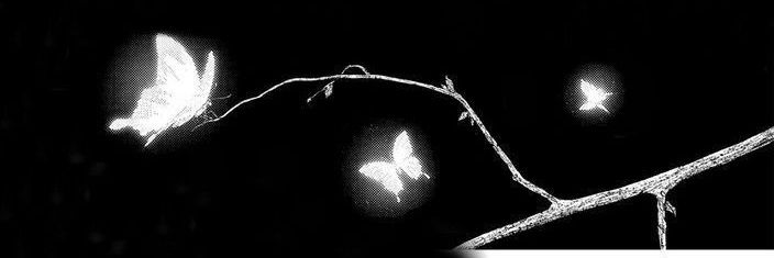 NnoKqm's profile banner image