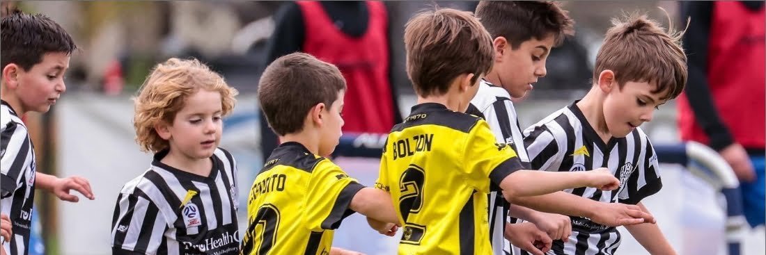 FulhamUtd's profile banner image
