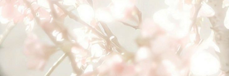liv ໒꒰ྀི˶˃ᆺ˂˶ ꒱ྀིა edtwt's banner
