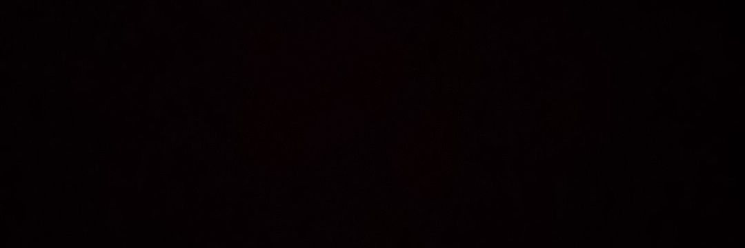Roopiiie banner