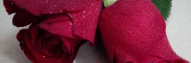 AhmadSlooh's profile banner image