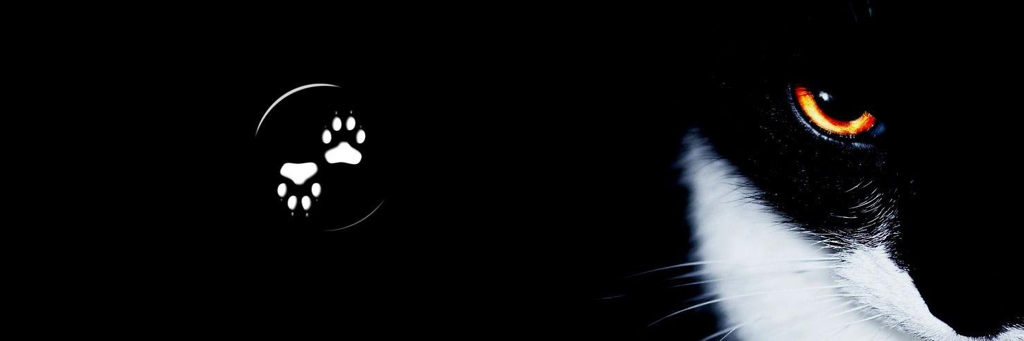 Spettro™ banner