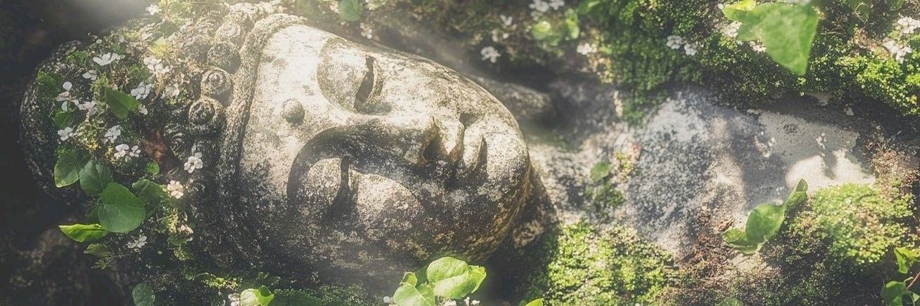 Hellen 🇵🇸 banner