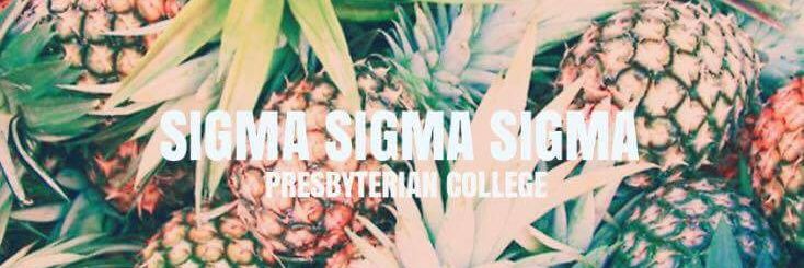 Tri Sigma Epsilon Pi banner