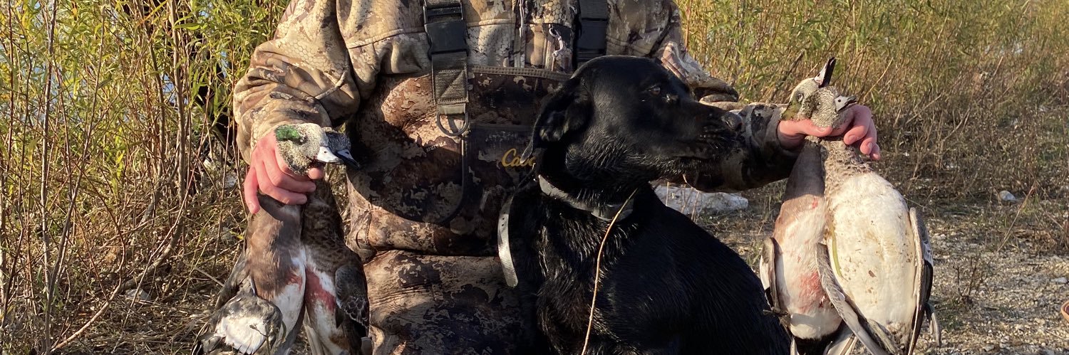 zachdavis99's profile banner image