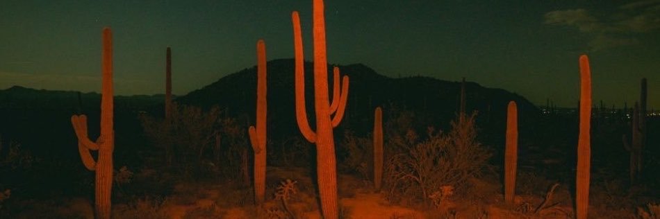 effigybait's profile banner image