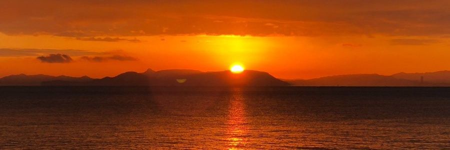 hoglark's profile banner image