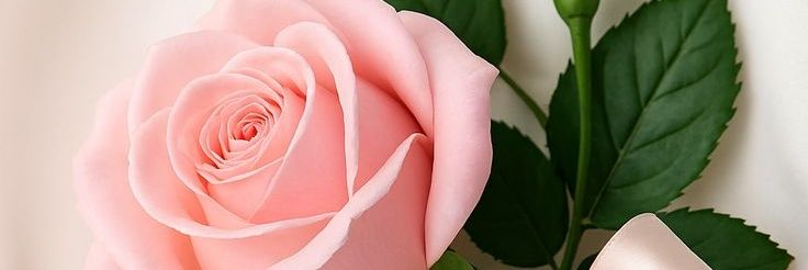 ShenyMC's profile banner image
