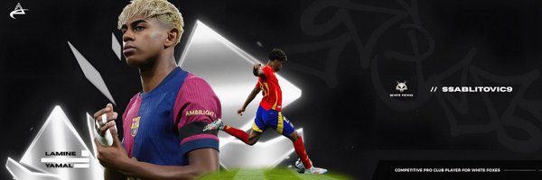 ssablitovic9 Profile Banner