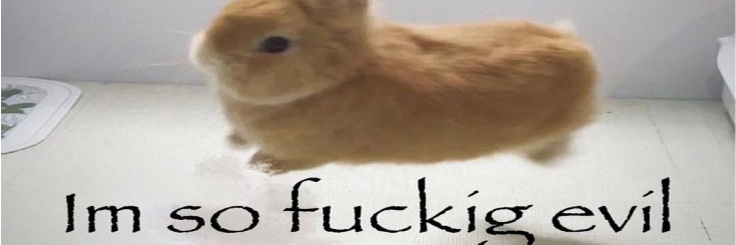 willow ৻ꪆ's banner