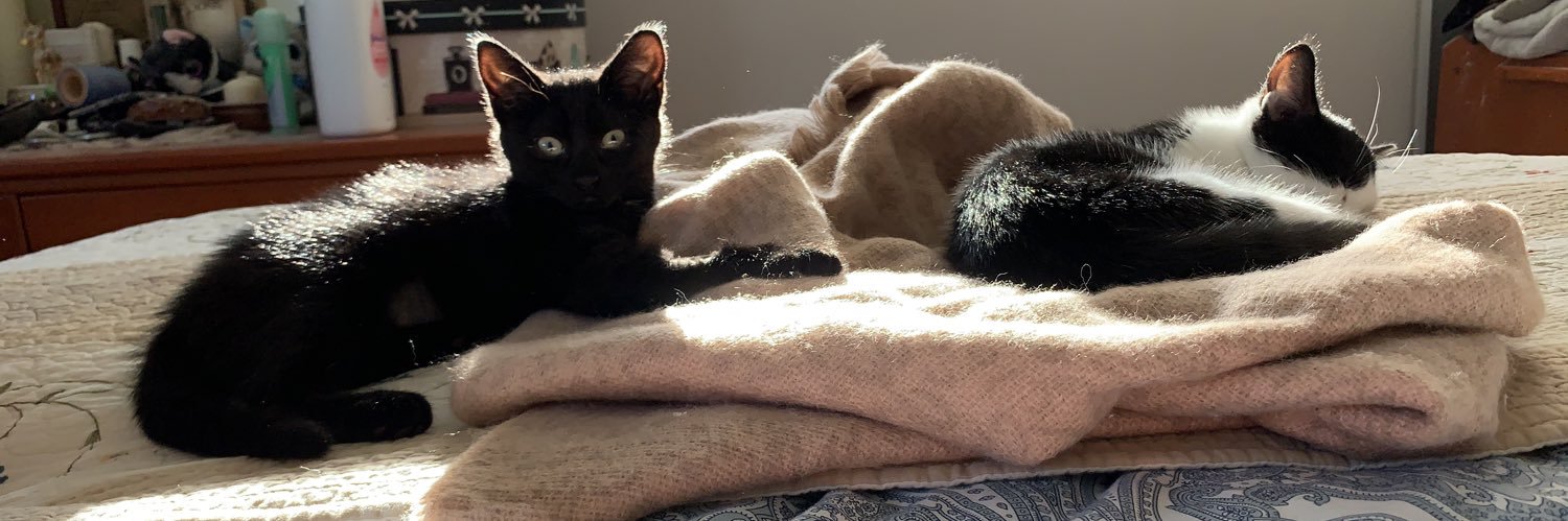 felinesxhugsx's profile banner image