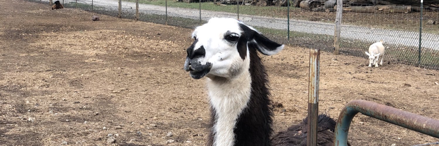 Meggary's profile banner image