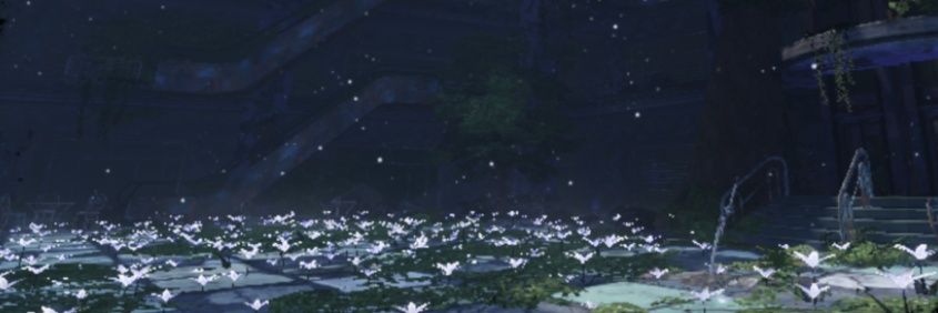 para's banner