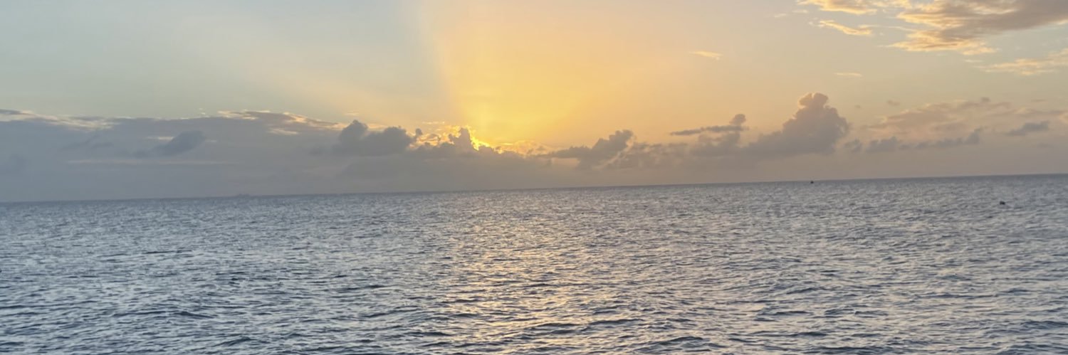 RissaWhyy's profile banner image