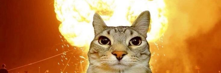 NotRllyNormal banner