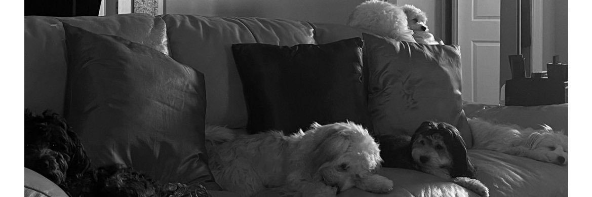 milkaahjane's profile banner image